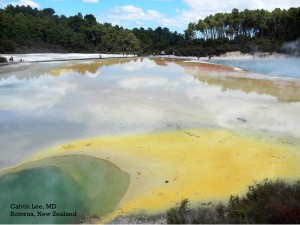 Hot Springs.  The different colors of the earth are the result of different mineral concentrations. 